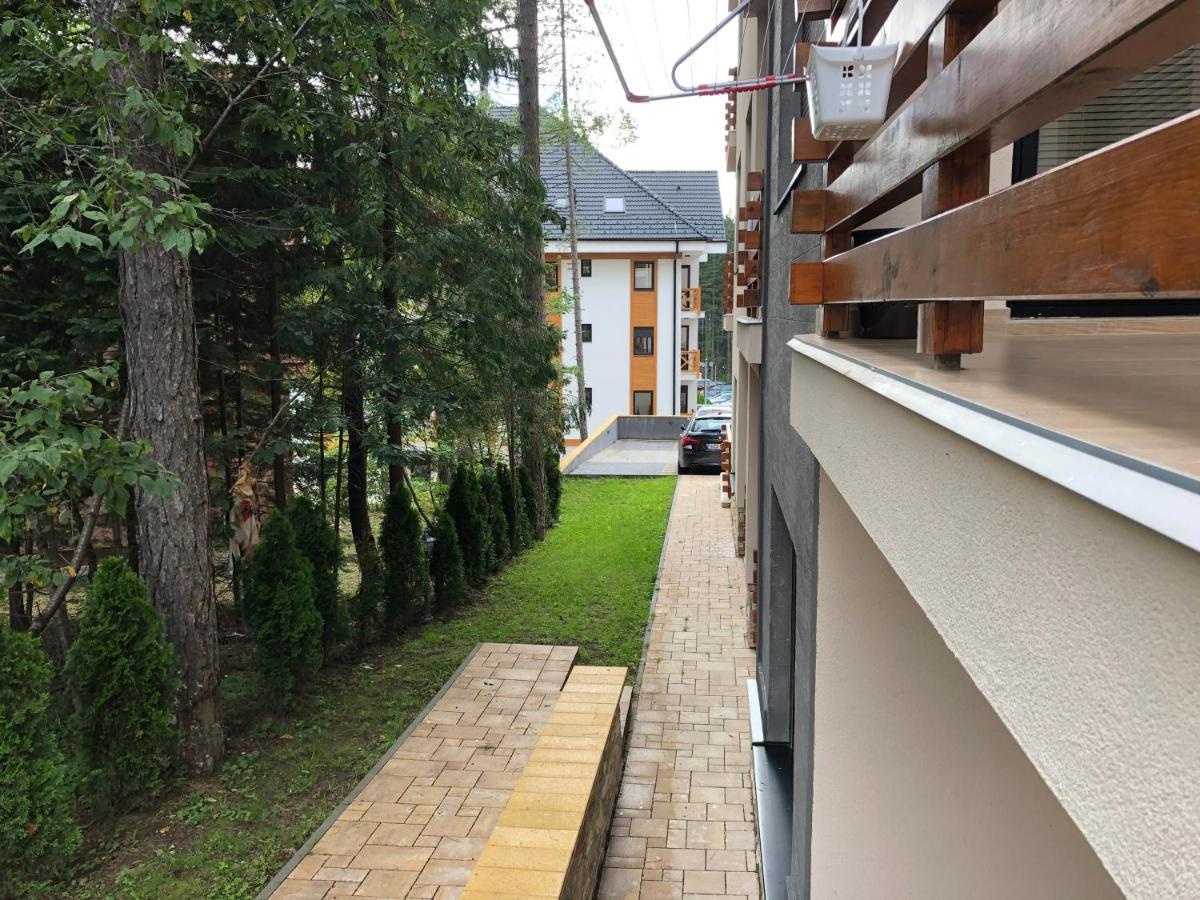 Lux Stella * Zlatibor