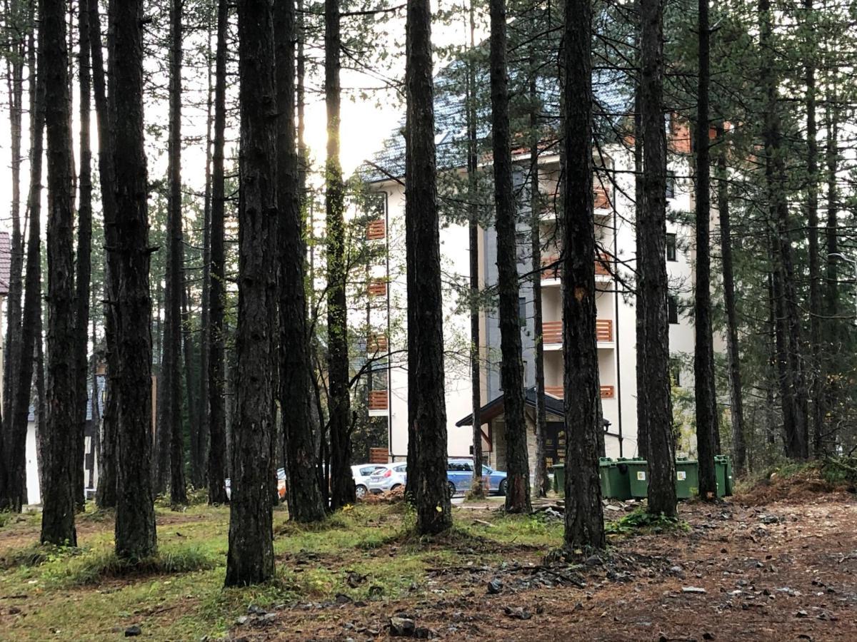Lux Stella Zlatibor