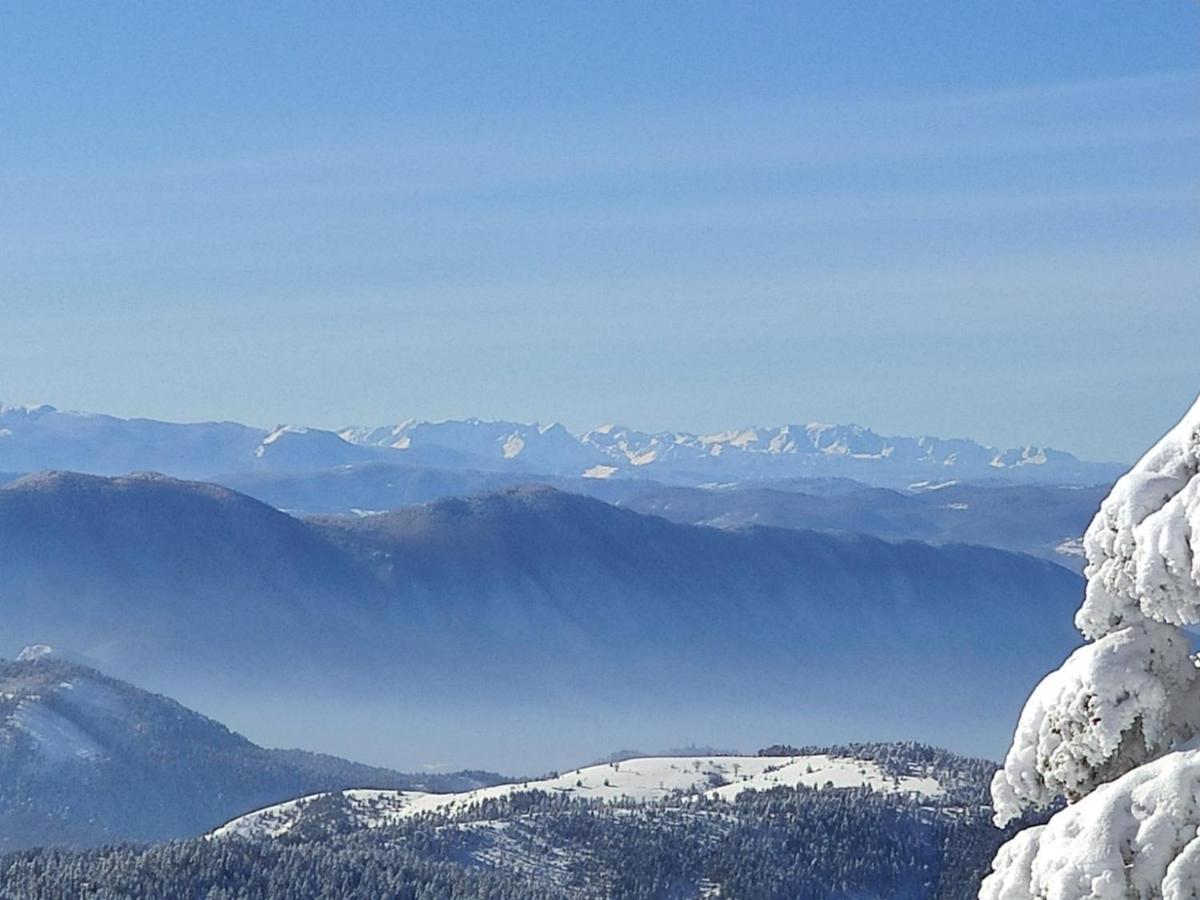Lux Stella * Zlatibor