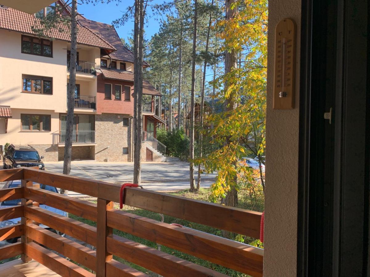 Lux Stella * Zlatibor